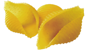 20lb Bulk Medium Shells Pasta